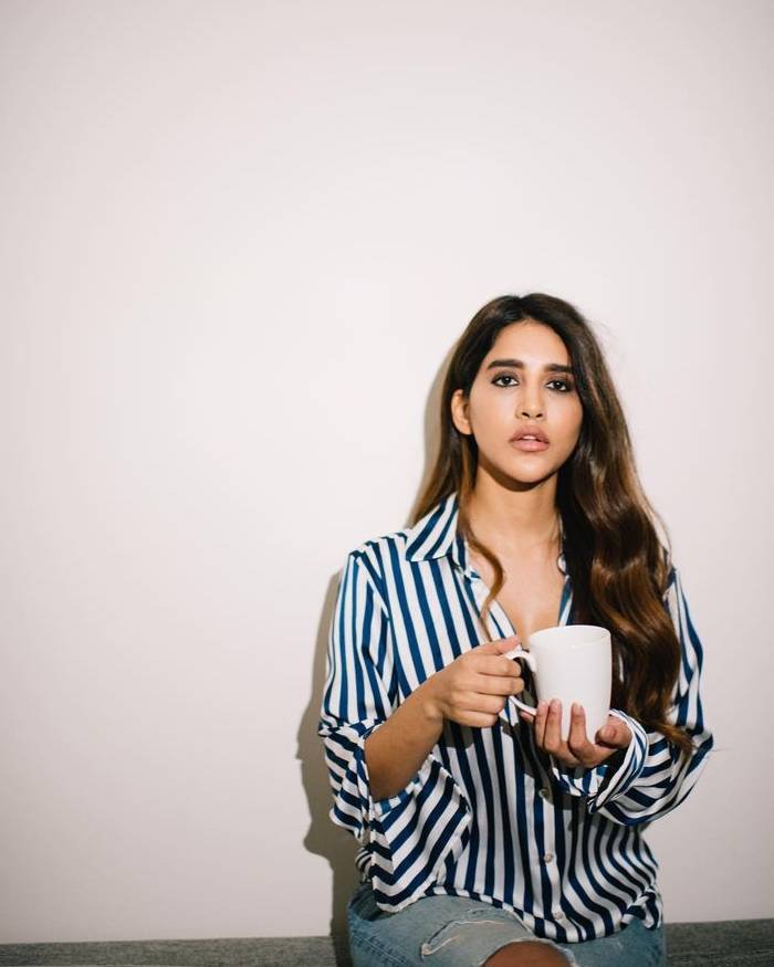 nabha natesh_teluguvox 10